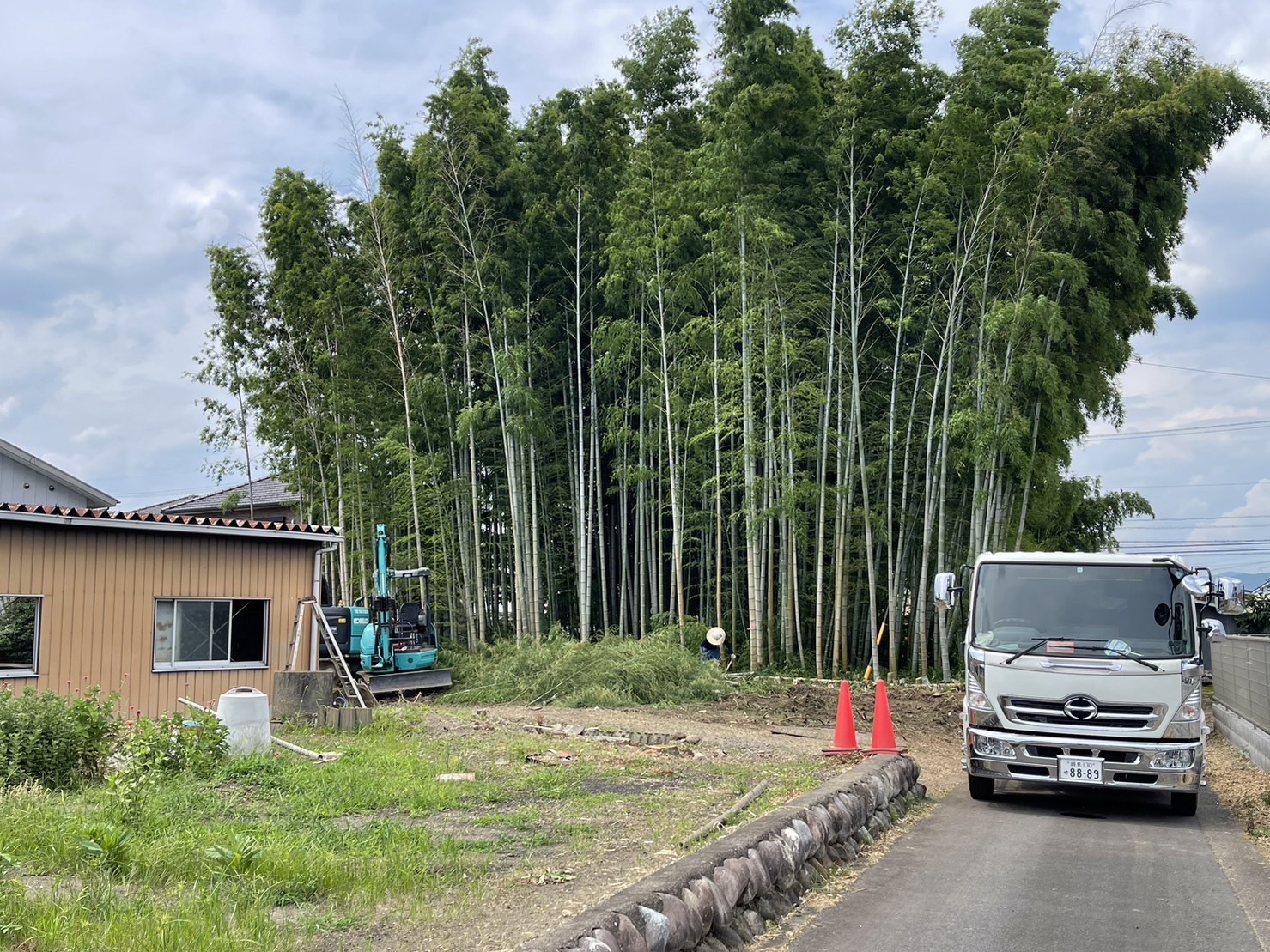 竹藪の伐採